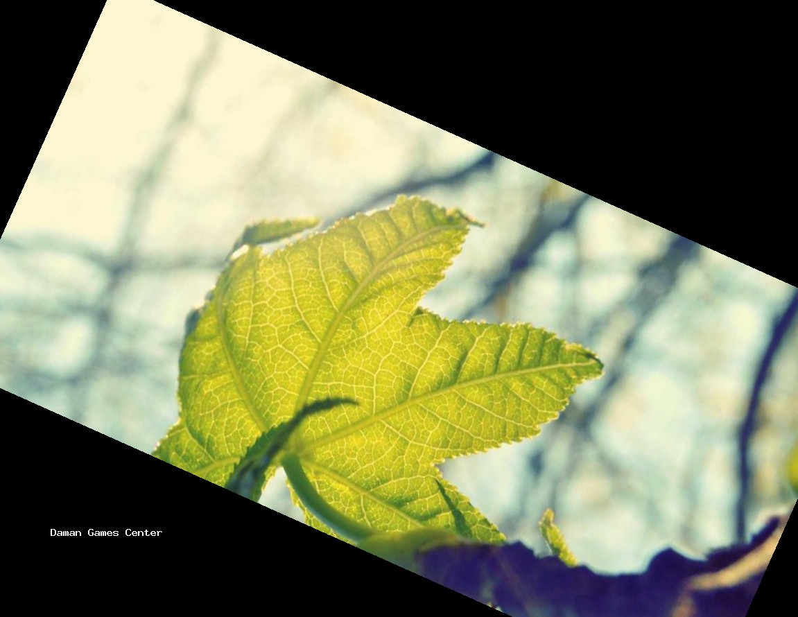 Mighty Champion Warrior Download Statistics - Platform Distribution & Growth Trend